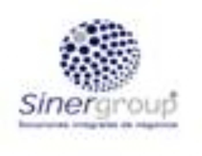 SINERGROUP